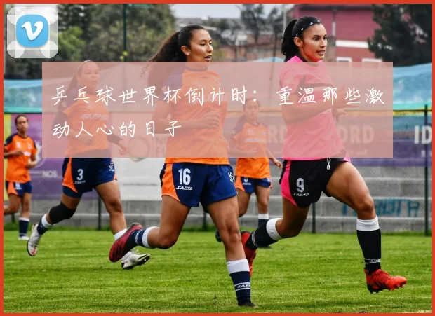 乒乓球世界杯倒计时：重温那些激动人心的日子