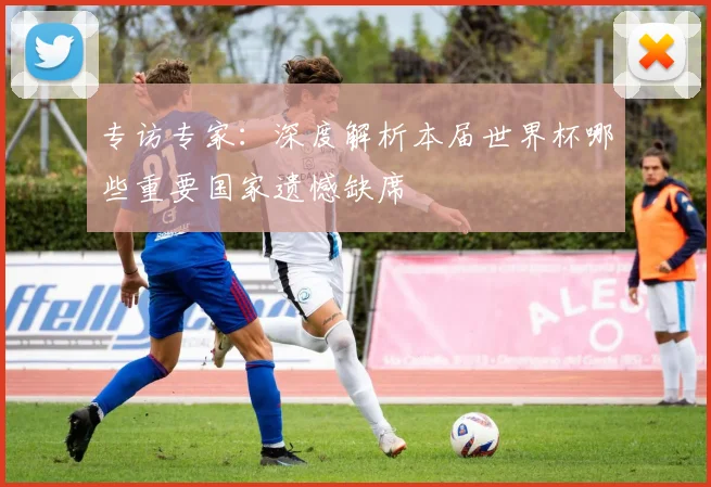 专访专家:深度解析本届世界杯哪些重要国家遗憾缺席