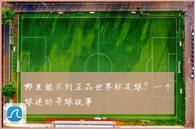 哪里能买到正品世界杯足球？一个球迷的寻球故事