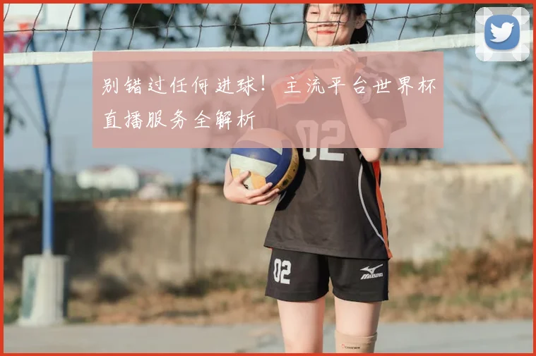 别错过任何进球！主流平台世界杯直播服务全解析