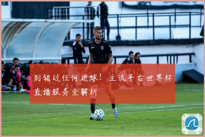 别错过任何进球！主流平台世界杯直播服务全解析