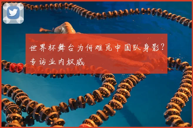世界杯舞台为何难觅中国队身影？专访业内权威