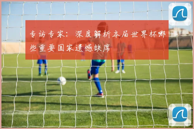 专访专家:深度解析本届世界杯哪些重要国家遗憾缺席